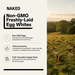 Egg White Protein Powder | Naked Egg - 3LB